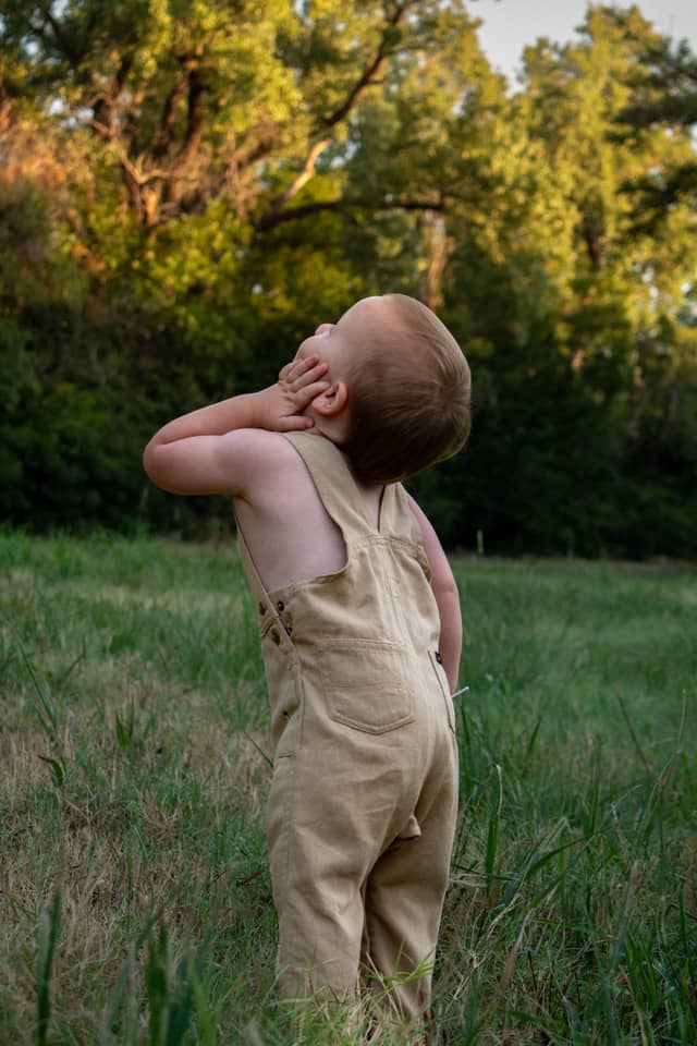 Enid Meadow Portrait Spot - Image 1