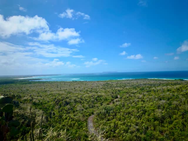 Cerro Orchilla Lookout - Image 1