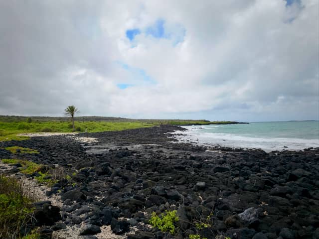 Isabela Island Volcanic Coastline - Image 1