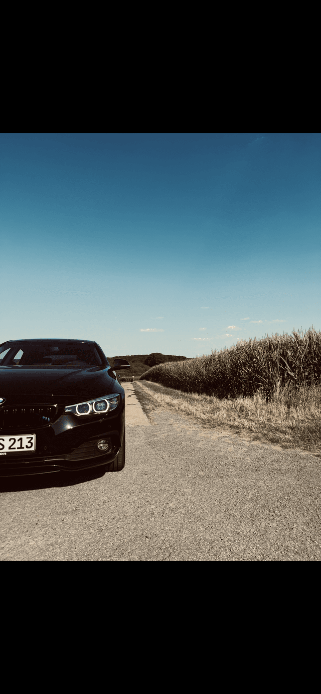 Cornfield Country Lane near Schweinfurt - Image 1