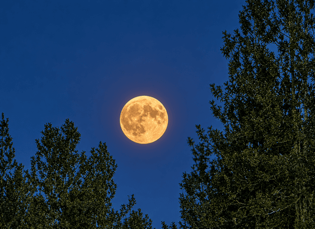 Spokane Valley Moonrise Overlook - Image 1