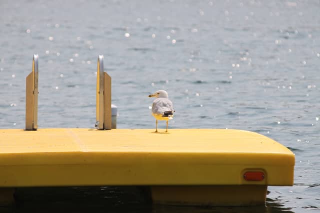 Potato Lake Waterfront - Image 1