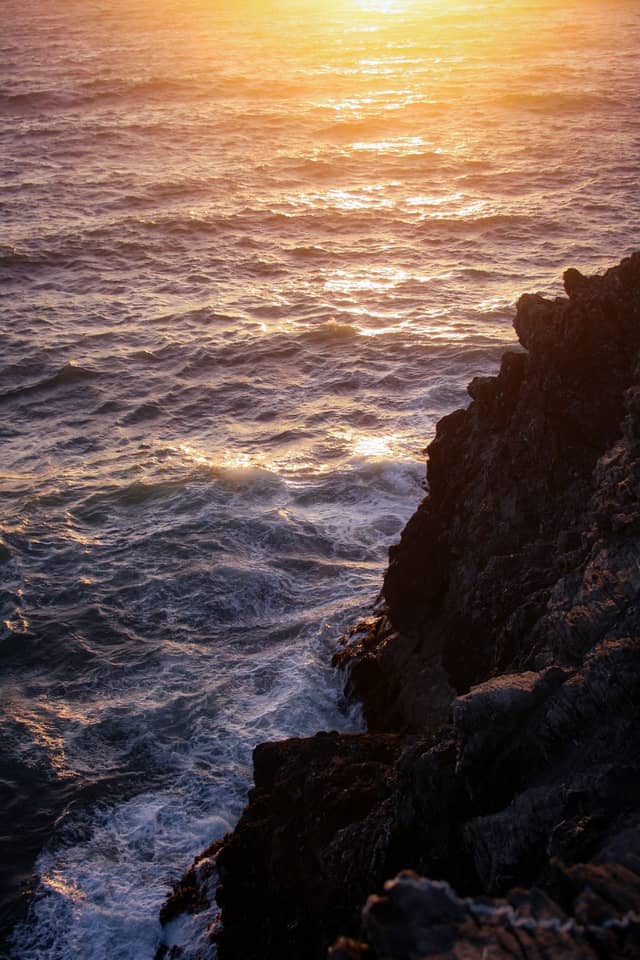 Bodega Head - Image 1