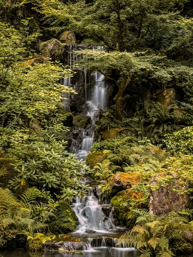 Portland Japanese Garden - Image 1