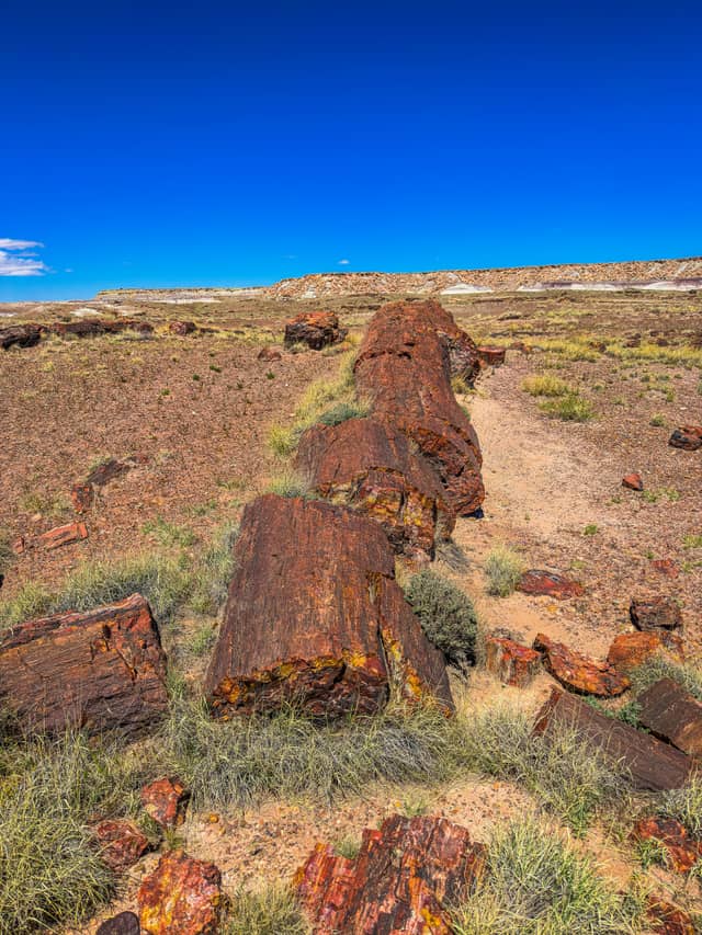 Petrified Forest National Park - Image 1