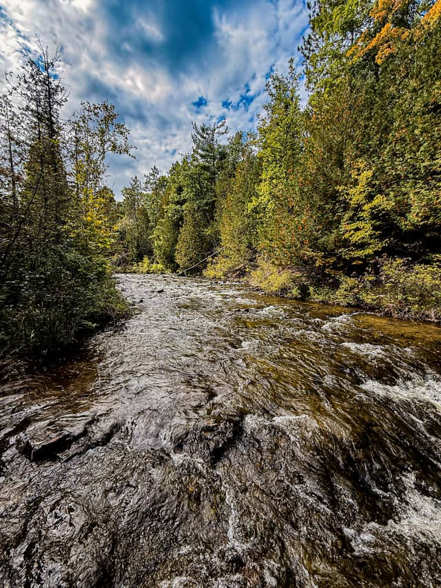 Ocqueoc River Rapids - Image 1