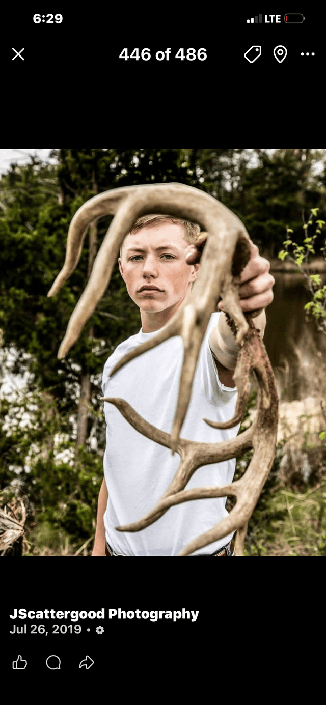 Stroud Rural Woodlands - Image 1