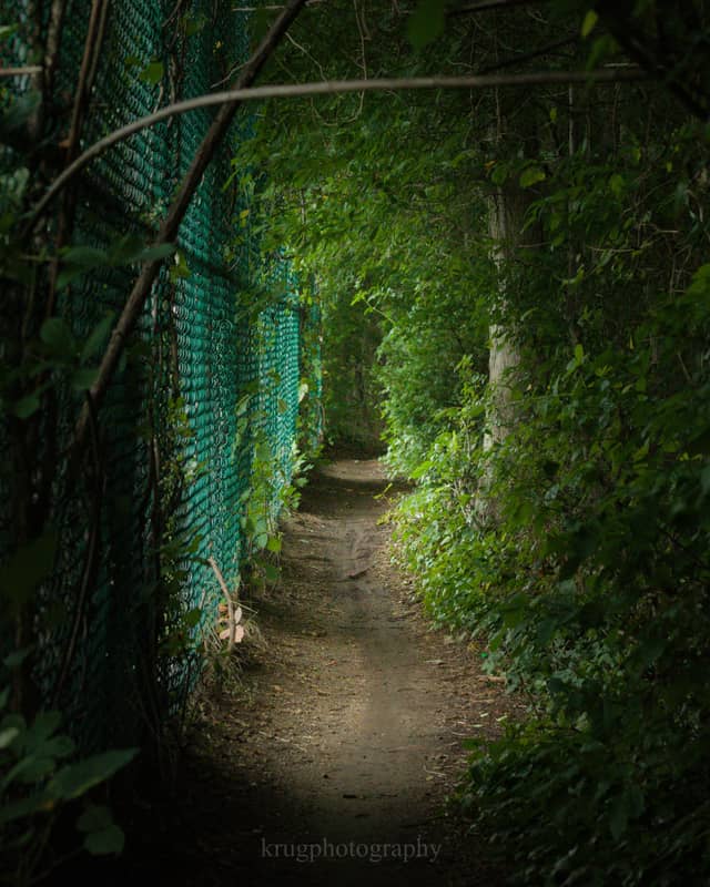 Bethpage State Park Perimeter Trail - Image 1