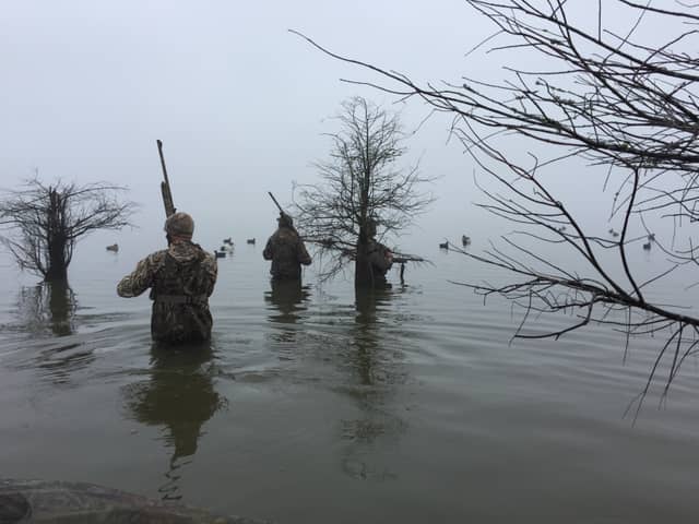 Lake Eufaula - Image 1