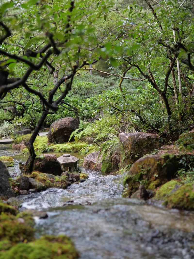 Morikami Museum and Japanese Gardens - Image 1
