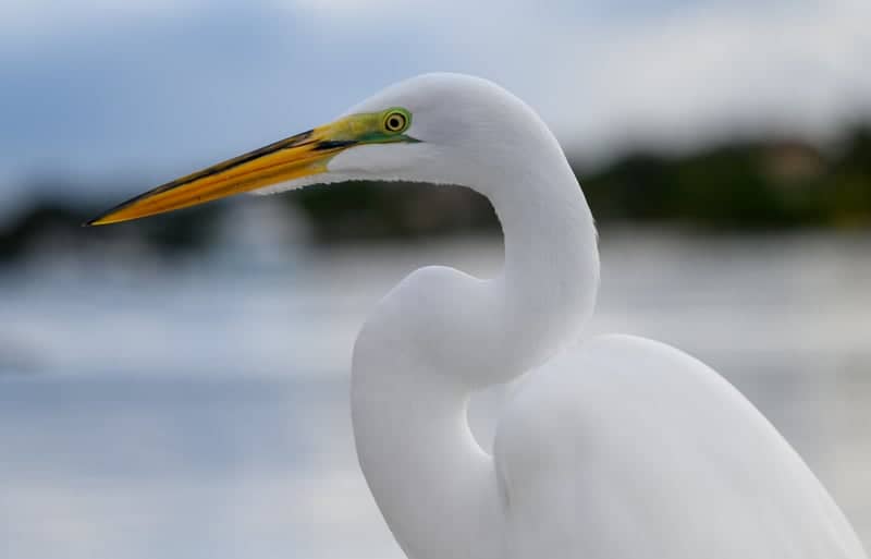 North Fork St. Lucie River Waterways - Image 1