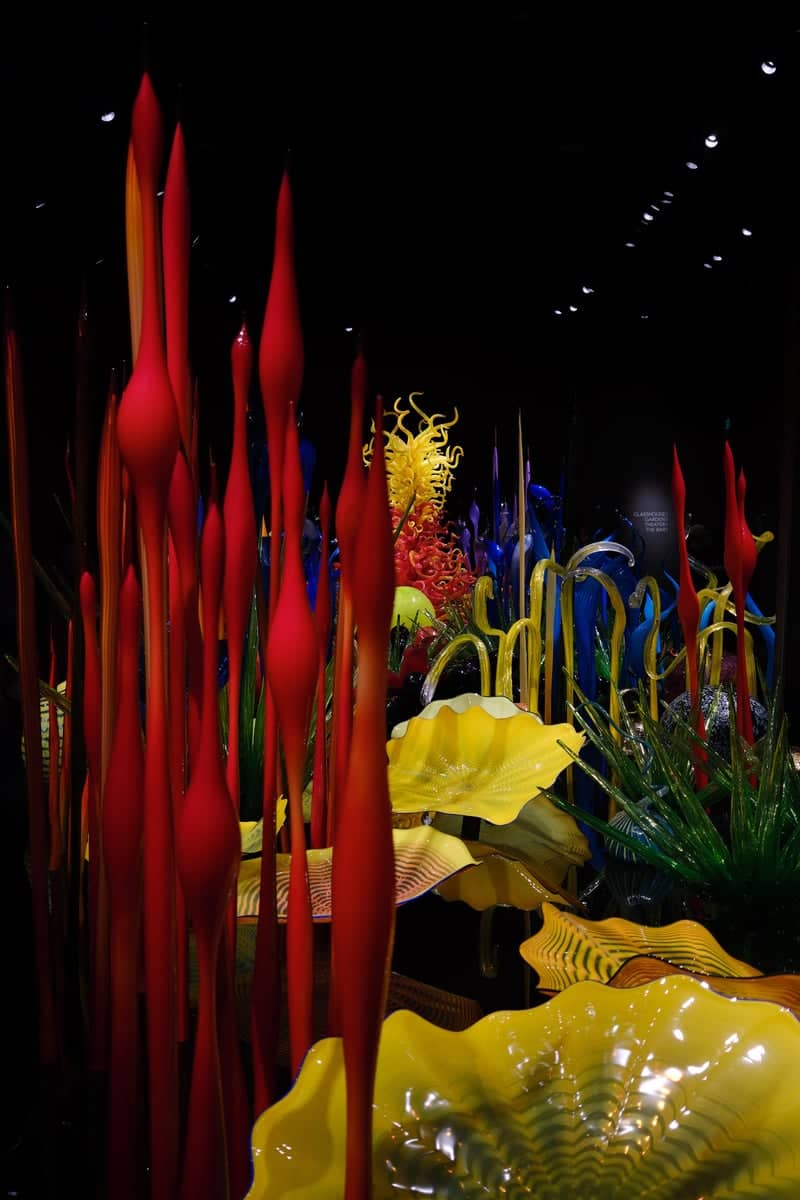 Chihuly Garden and Glass - Image 5