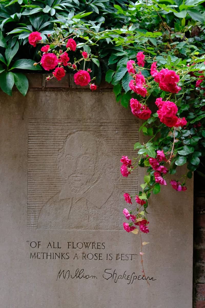 International Rose Test Garden - Image 4