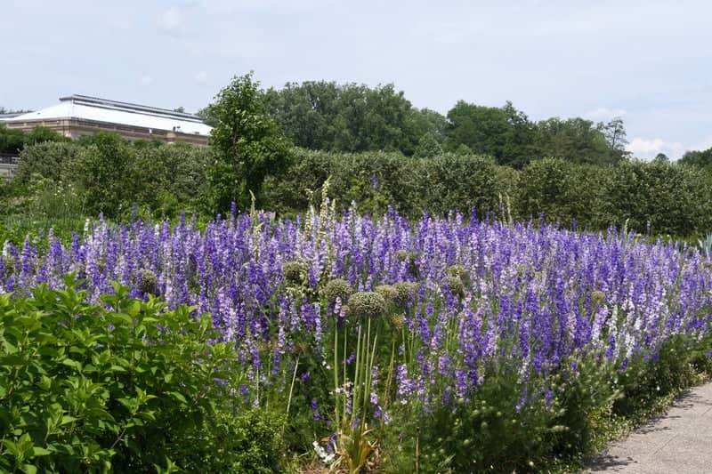 Longwood Gardens - Image 4