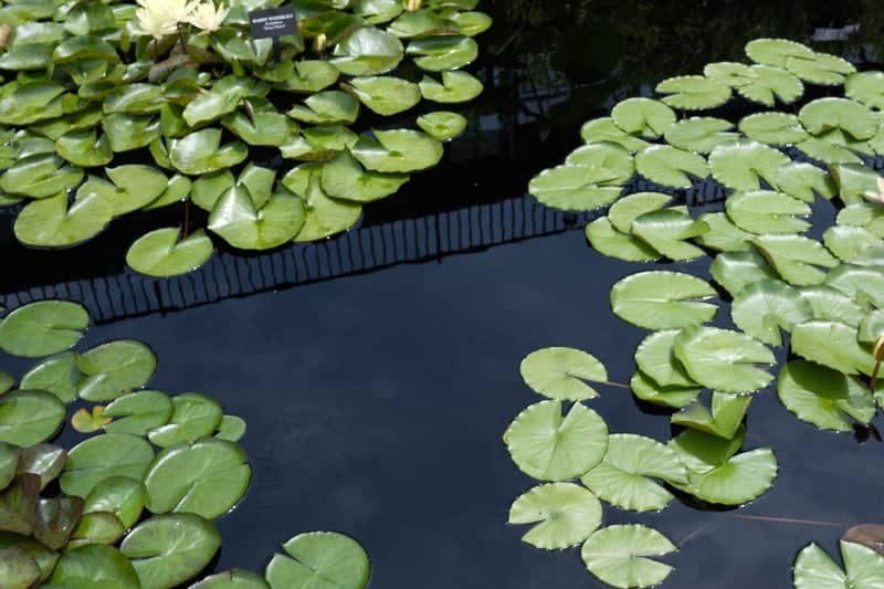 Longwood Gardens - Image 1