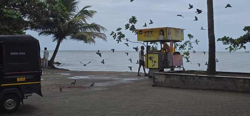 Fort Kochi Waterfront Promenade - Image 1