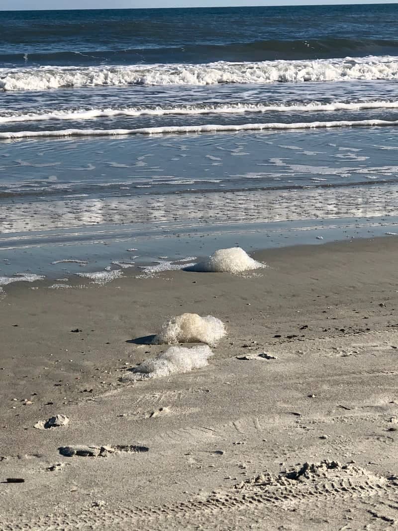 Sea Pines Beach - Image 1