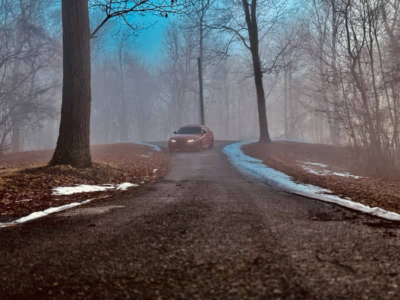 Opossum Hollow Woodland Road - Image 1