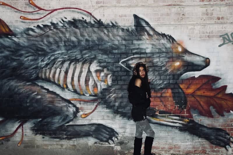 Hutchinson Wolf Mural - Image 1