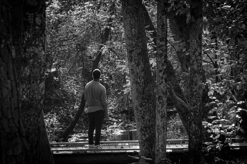 Sesquicentennial State Park Trails - Image 1