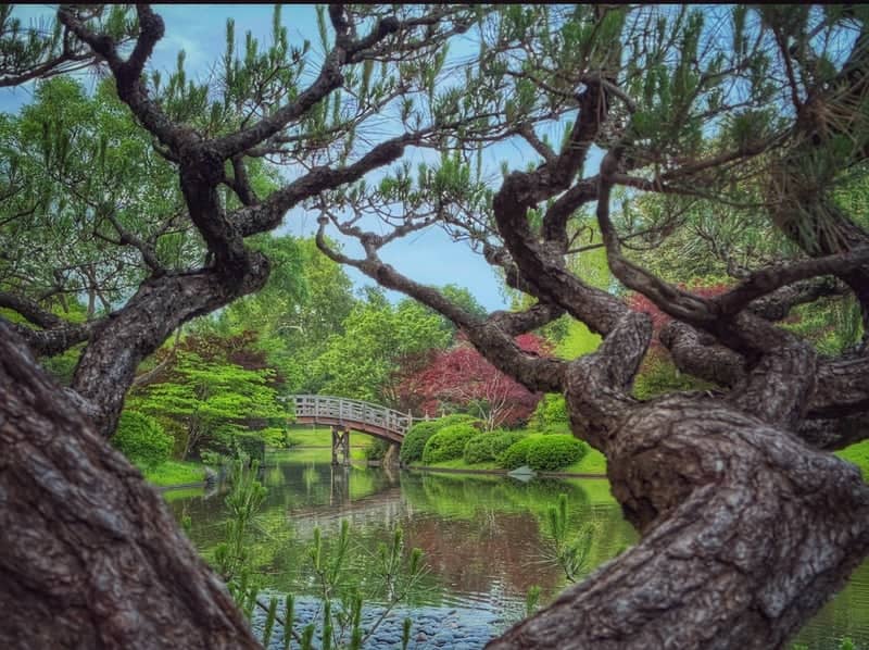Missouri Botanical Garden - Japanese Garden - Image 1