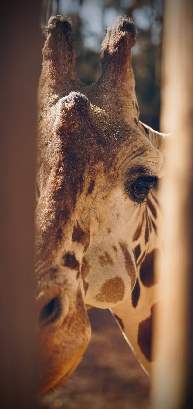 Riverbanks Zoo & Garden - Image 1