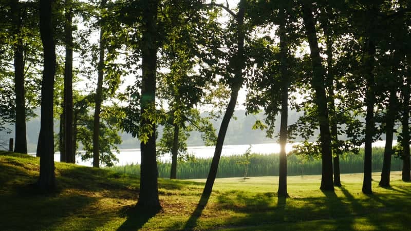 Mendon Ponds Park Lakeside - Image 1