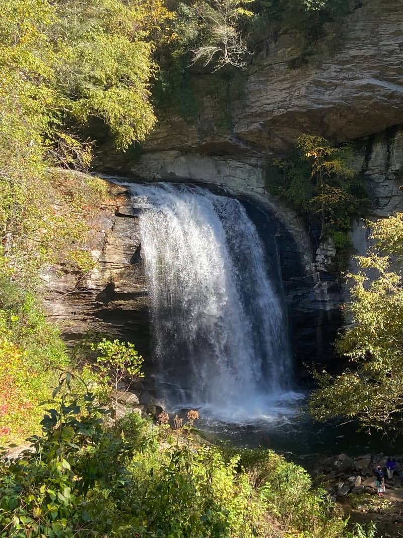 Looking Glass Falls - Image 1