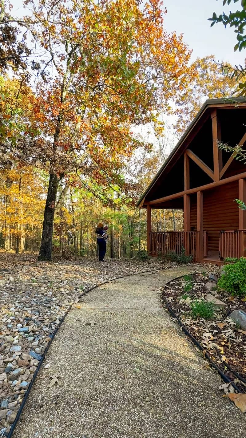 Woodland Cabin Retreat - Image 1
