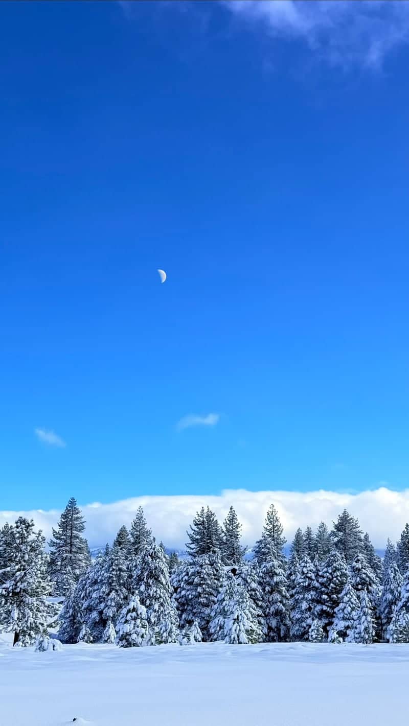 Truckee Winter Meadow - Image 2