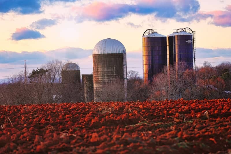 Midland Farm Silos - Image 1