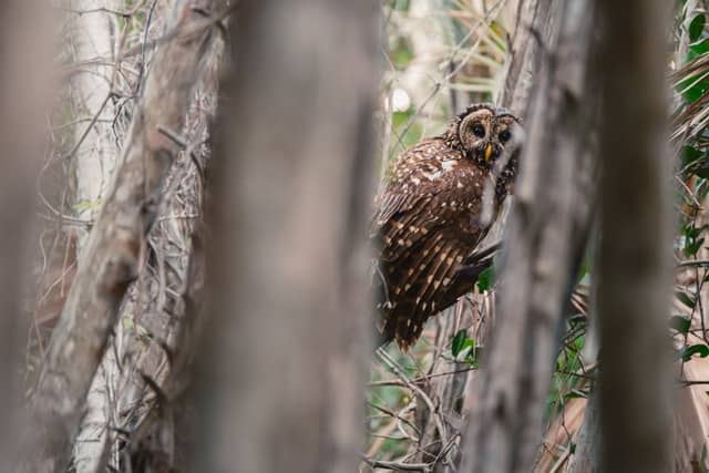 Everglades National Park - Image 1
