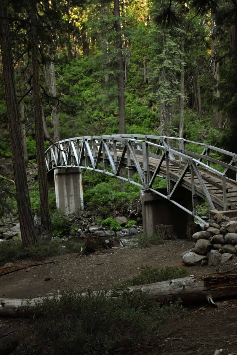 Trinity Alps Wilderness Bridge - Image 1