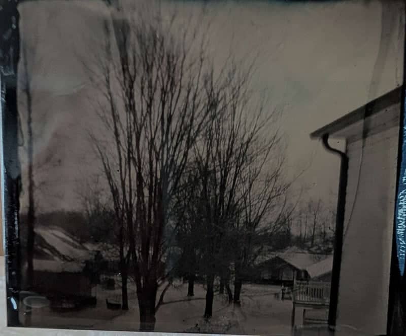 Jackson Residential Winter Garden - Image 1
