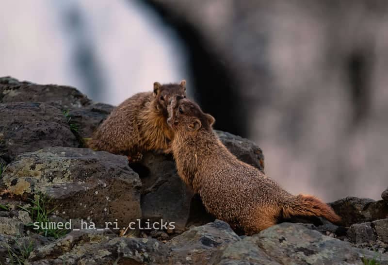 Palouse Falls State Park - Image 2