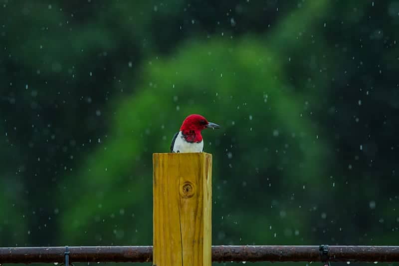 Cool Springs Nature Spot - Image 1