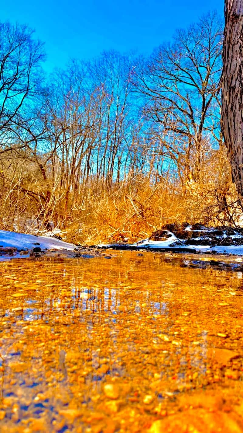 Center Briar Creek - Image 1