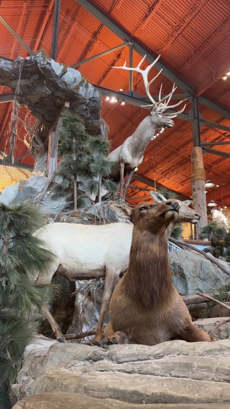 Bass Pro Shops Independence - Image 1