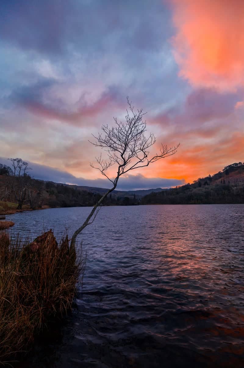 Rydal Water Shoreline - Image 1