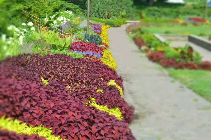 Sunken Gardens - Image 1