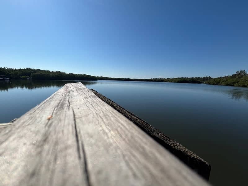 Indian River Lagoon Overlook - Image 1