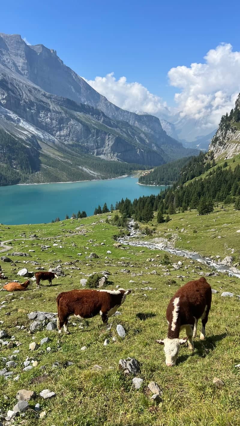 Oeschinensee - Image 1
