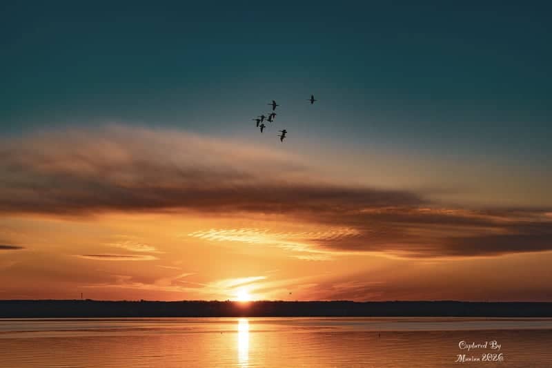 Seneca Lake State Park - Image 1