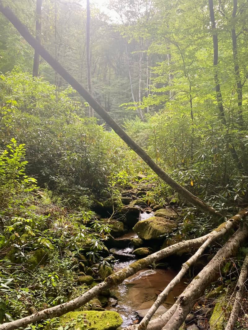 Huffman Creek - Image 1
