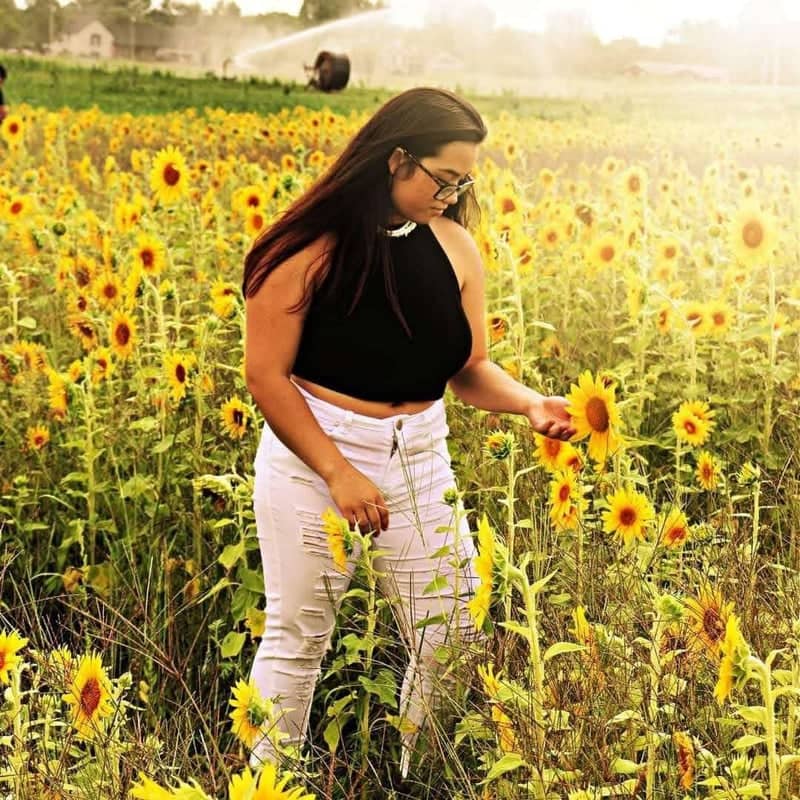 Hudsonville Sunflower Field - Image 1