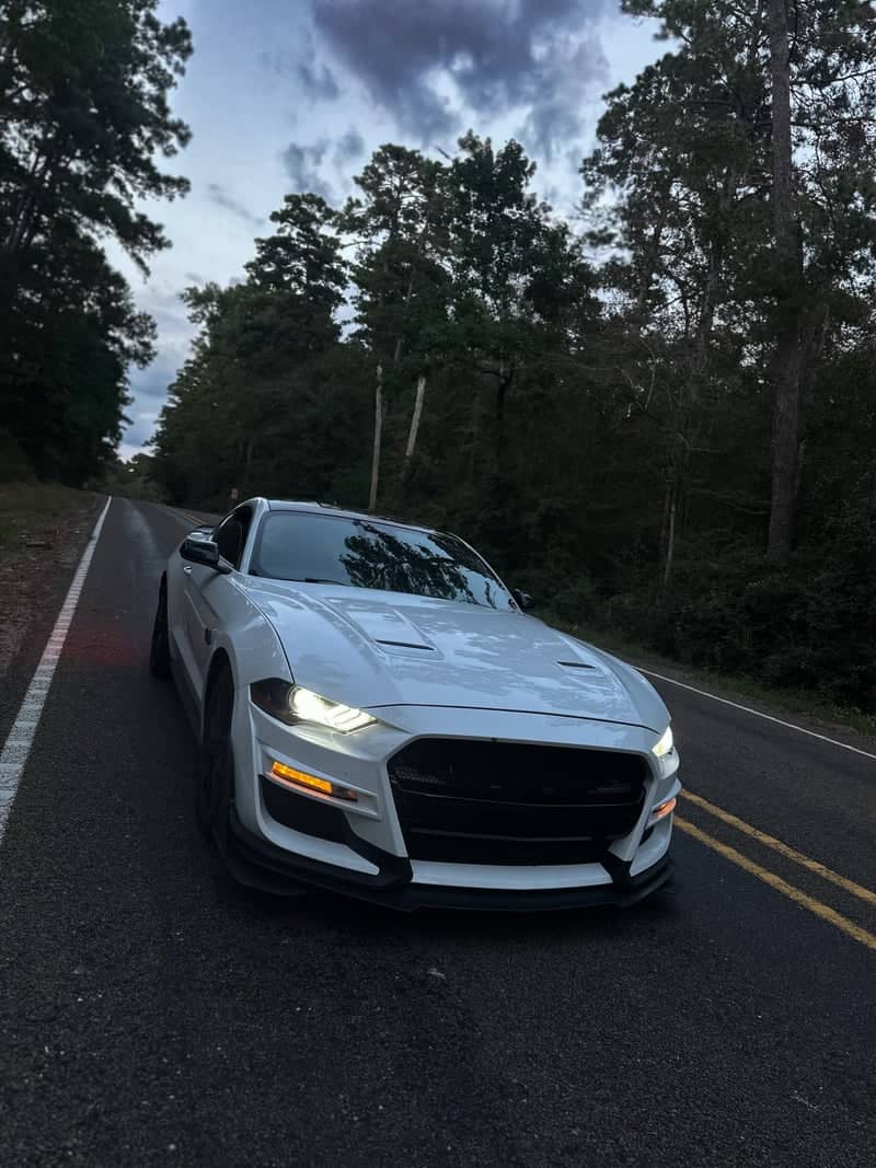 Sam Houston Forest Road - Image 1