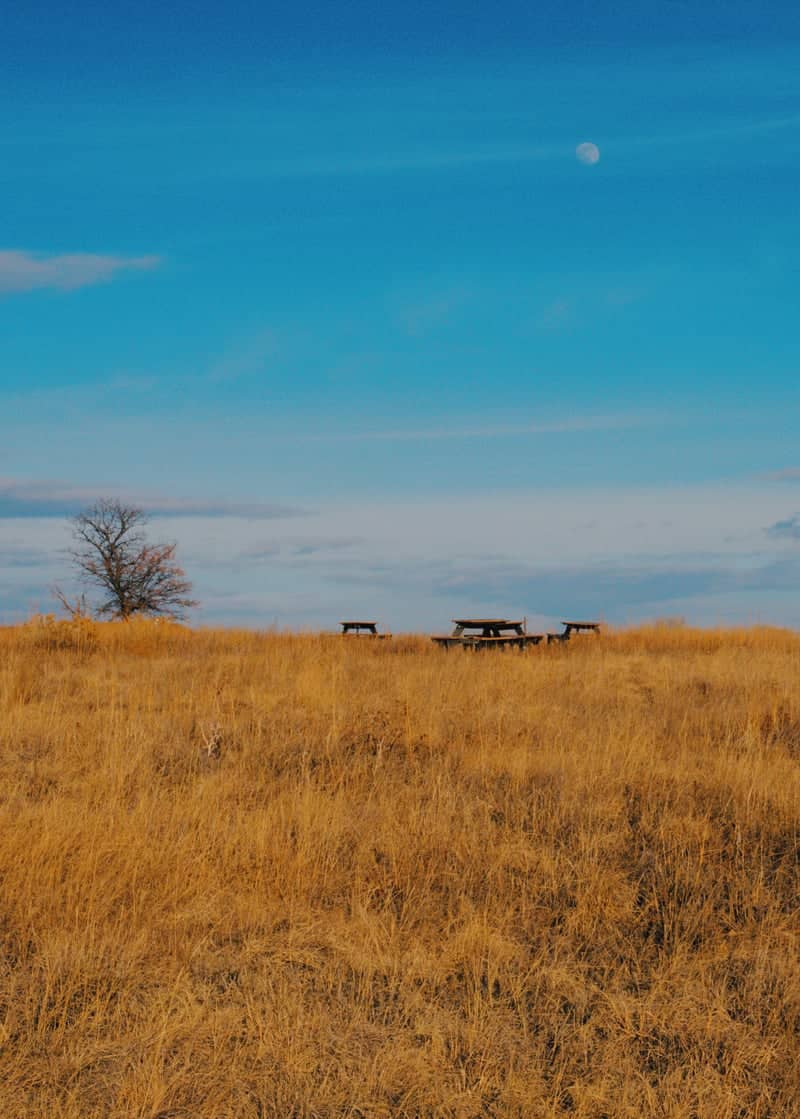 Rocky Mountain Arsenal National Wildlife Refuge - Image 1