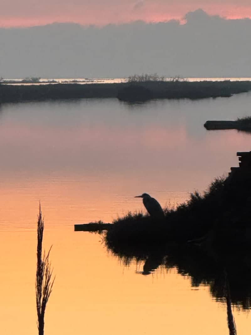 Valli di Comacchio Wetlands - Image 1