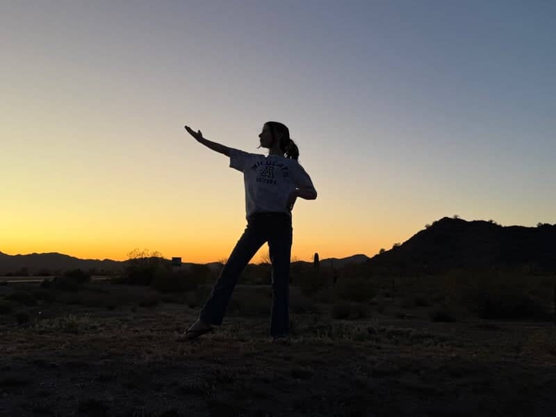 Sonoran Desert Sunset Overlook - Image 1