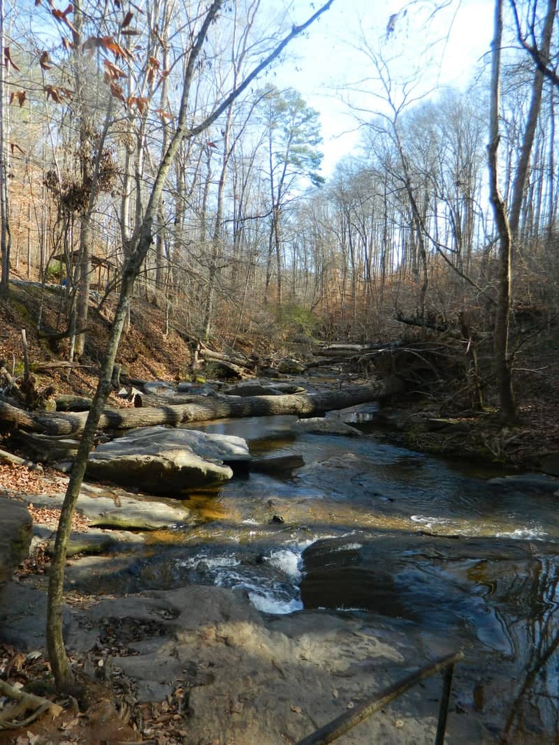 Woodland Creek Trail - Image 1